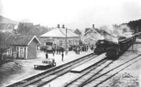 To tog møtes ved Vestfossen stasjon på 1920-tallet. Foto: Anders Lauritzen