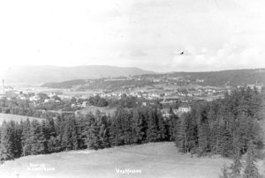 Vestfossen sett fra Lundehaugen (oeb-198705).jpg