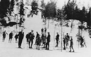 Vestfossen vinteridrett (oeb-242107).jpg