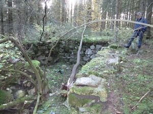 Vestre Tomten-Tomtstua.JPG