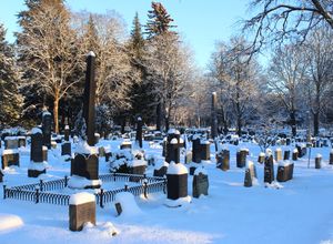Vestre gravlund Oslo januar 2016 2.jpg