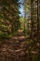 Batteriveien. Foto: Tommy Gildseth (2010).