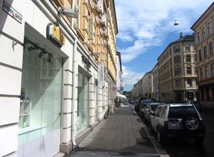 Vibes gate Oslo 2014.jpg