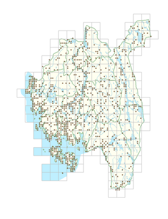 Viburnum opulus 1.png
