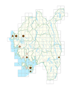 Vicia sativa subsp. nigra.png