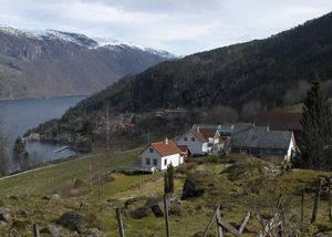 Vidvei i Suldal 9263493.jpg