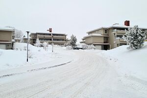 Viervangen 221225.jpg