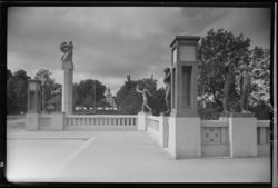 Motiv fra Vigelandsanlegget. Foto: Ukjent / Nasjonalbiblioteket