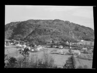 336. Vigeland - no-nb digifoto 20160713 00101 NB MIT FNR 09516.jpg