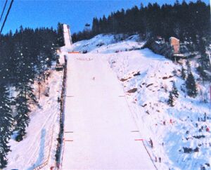 Vikersund hopprenn 15 feb 1986.JPG