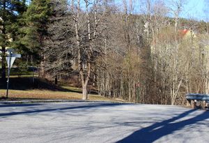 Villaveien Asker 2016.jpg