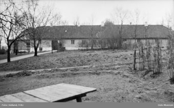 Vinderen Holland.jpg