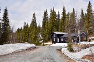 Vinje, Brannkvålen-1.jpg