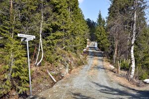 Vinje, Breivassvegen-1.jpg