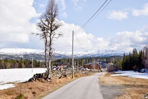 Vinje, Juvlandsvegen-1.jpg