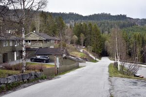 Vinje, Nedre Drotning-1.jpg