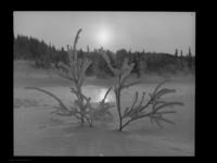 207. Vinter - no-nb digifoto 20160720 00151 NB MIT FNR 22993.jpg