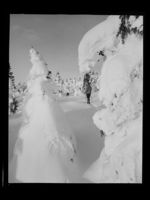 209. Vinter - no-nb digifoto 20160720 00155 NB MIT FNR 22992.jpg