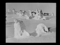 211. Vinter - no-nb digifoto 20160720 00169 NB MIT FNR 22986.jpg