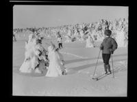 213. Vinter - no-nb digifoto 20160720 00172 NB MIT FNR 22988.jpg