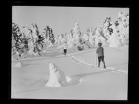 208. Vinter - no-nb digifoto 20160720 00178 NB MIT FNR 22989.jpg