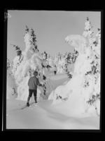 214. Vinter - no-nb digifoto 20160720 00179 NB MIT FNR 22990.jpg