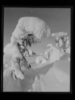 206. Vinter - no-nb digifoto 20160721 00011 NB MIT FNR 23003.jpg