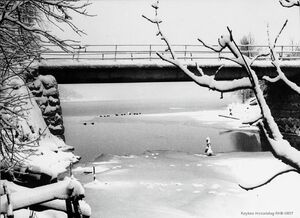 Vinterbilde fra Åroselva (RHB-0857).jpg