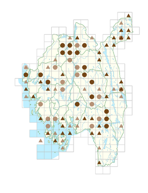 Viola canina subsp. canina.png