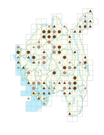 Viola canina subsp. canina.png