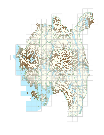 Viola riviniana 1.png