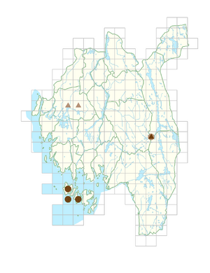 Viola rupestris subsp. rupestris.png