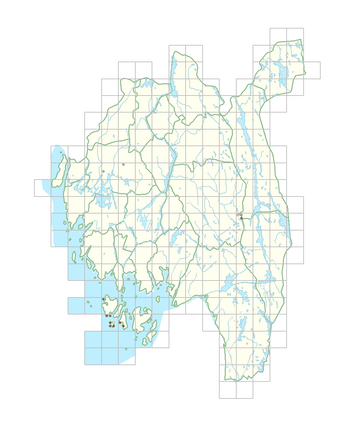 Viola rupestris subsp. rupestris 1.png