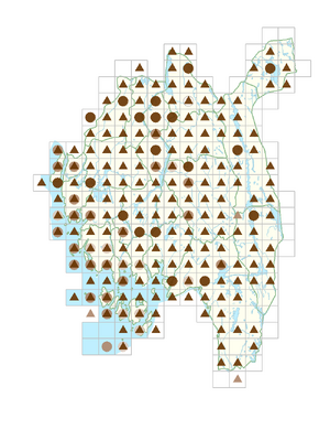 Viola tricolor subsp. tricolor.png
