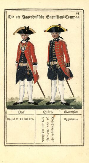 Vorstellung der sämtlichen Königl. Dänischen Armee - no-nb digibok 2007092512003-147.jpg