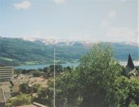 429. Voss 1999.JPG