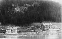 Vråliosen Hotel med rutebåt ved kai. J. A. Kroghs Bokhandel, Skien. Ukjent årstal.