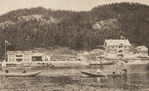 Vraaliosen, Buskeruds Blad 18960614.jpg