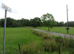 Wedels vei Oslo 2014.jpg