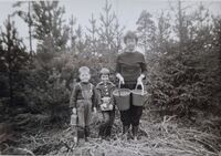 Westlie, Hjellum - Rasensjøen - 1965. Elida, Ingrid, Arne. Tyttebær. Foto: Annar Westlie