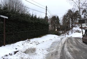 Wettergrens vei Bærum 2016.jpg