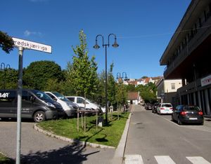 Wienerbrødskjæringa Drøbak 2013.jpg