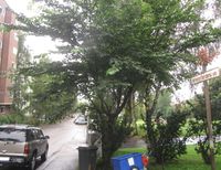 Motiv fra Wilhelm Færdens vei. Foto: Stig Rune Pedersen (2012).