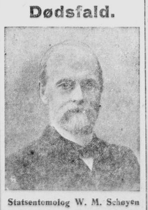 Wilhelm Maribo Schøyen nekrolog 1918 Aftenposten.jpg