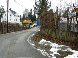 Wilses vei Bærum 2015.jpg