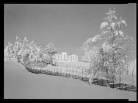 30. Winge - no-nb digifoto 20150205 00034 NB MIT FNR 15651.jpg