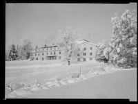 3. Winge - no-nb digifoto 20150205 00042 NB MIT FNR 15645.jpg