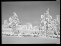 13. Winge - no-nb digifoto 20150205 00053 NB MIT FNR 15650.jpg