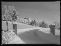 15. Winge - no-nb digifoto 20150205 00055 NB MIT FNR 15642 A.jpg