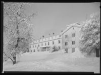 19. Winge - no-nb digifoto 20150205 00062 NB MIT FNR 15647.jpg